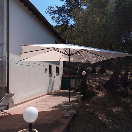 L'Antica Quercia B&B Castell'Umberto 외부 사진