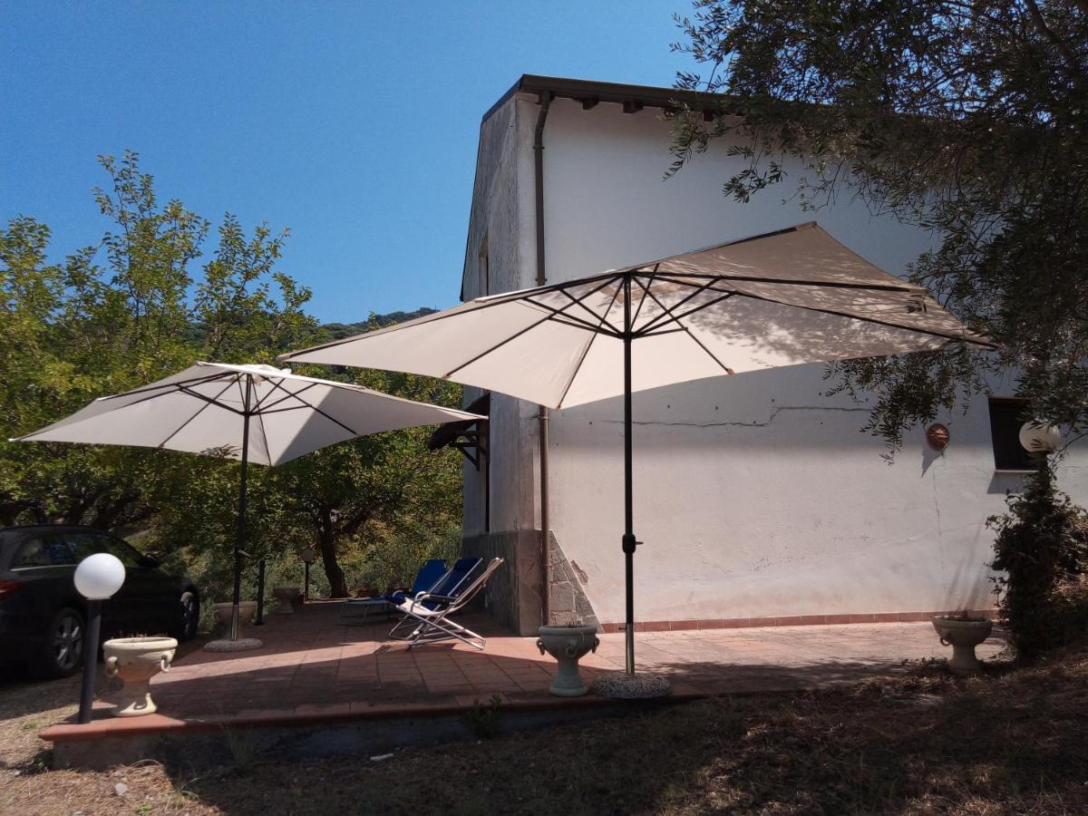L'Antica Quercia B&B Castell'Umberto 외부 사진