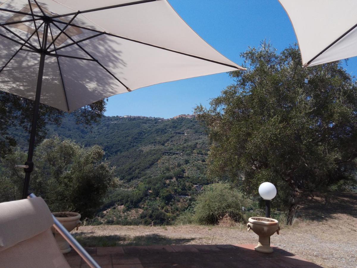 L'Antica Quercia B&B Castell'Umberto 외부 사진