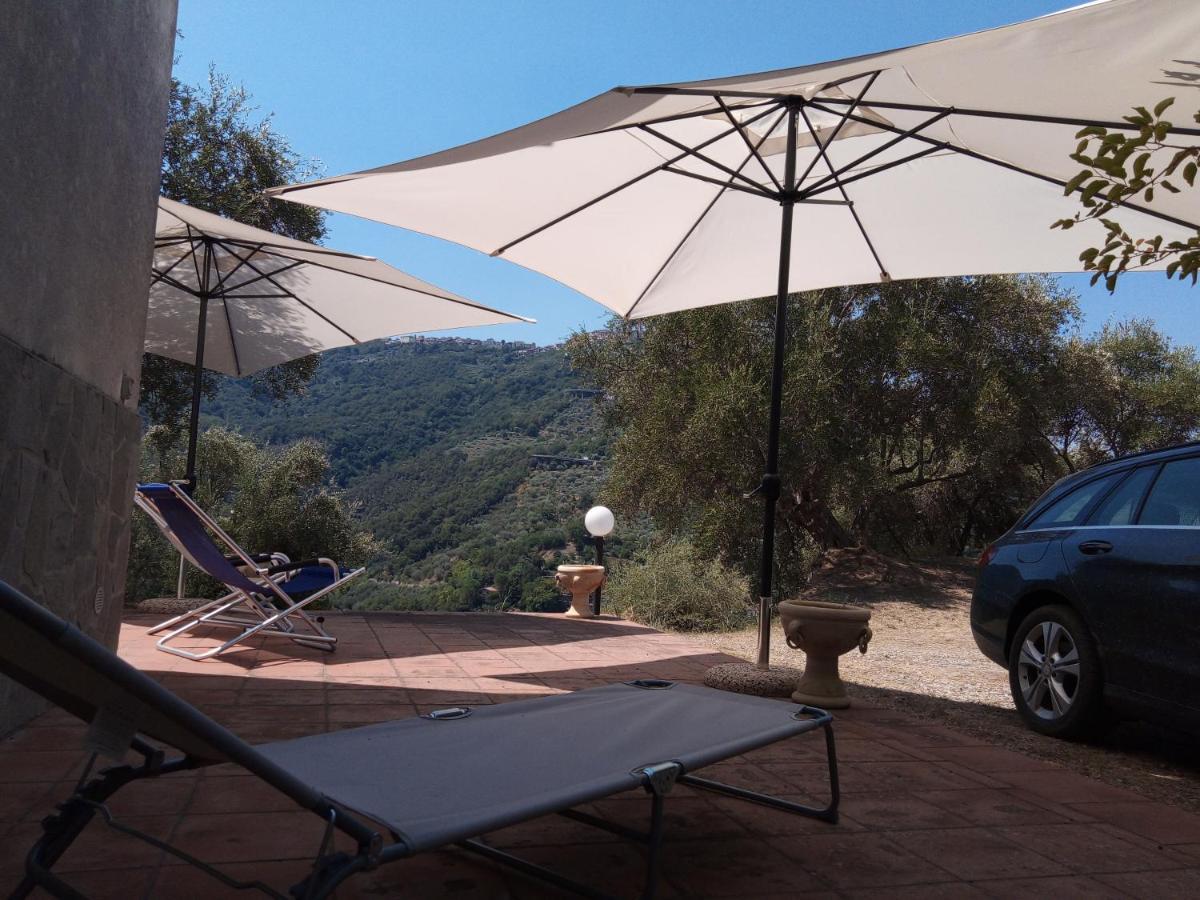 L'Antica Quercia B&B Castell'Umberto 외부 사진