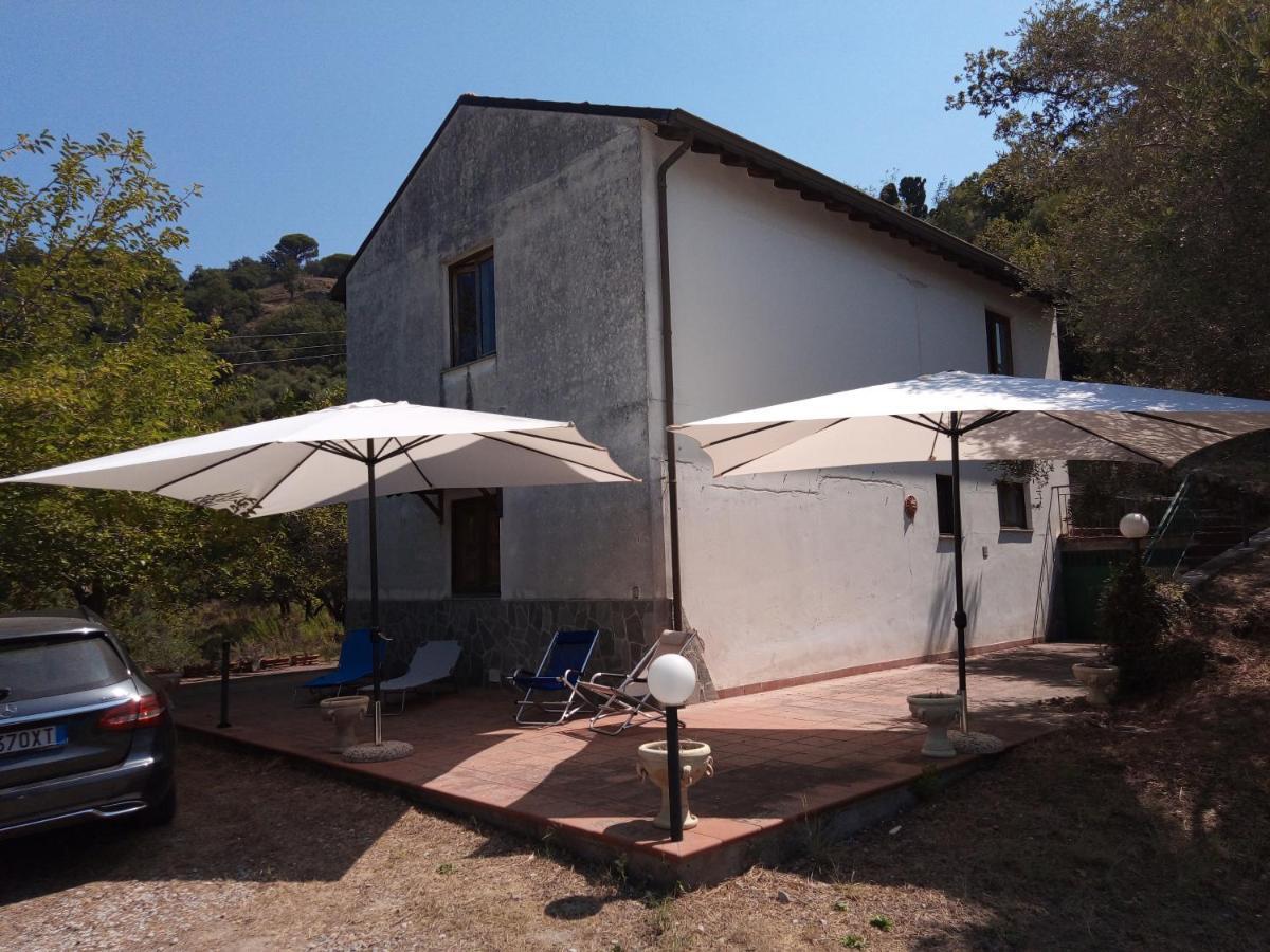 L'Antica Quercia B&B Castell'Umberto 외부 사진