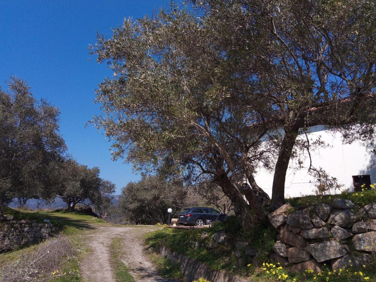 L'Antica Quercia B&B Castell'Umberto 외부 사진