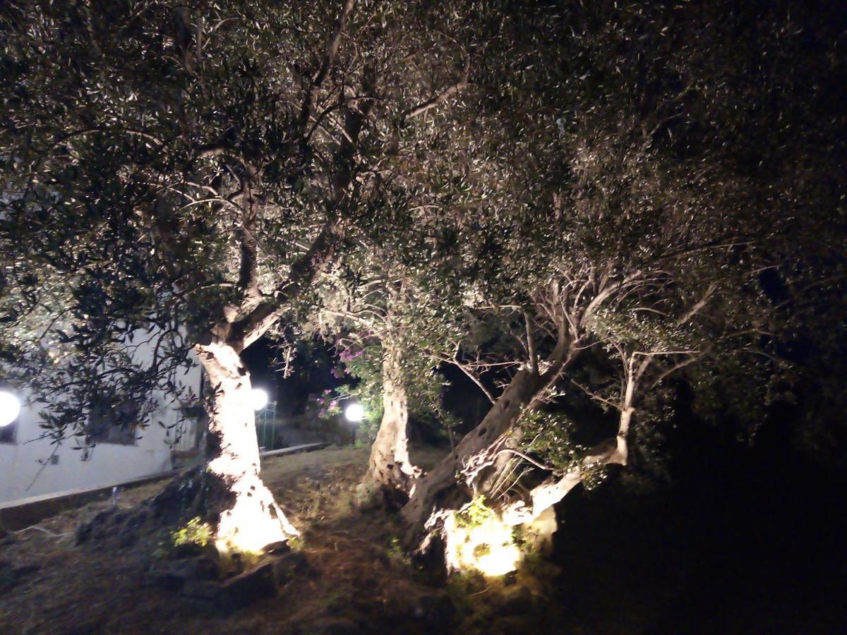 L'Antica Quercia B&B Castell'Umberto 외부 사진