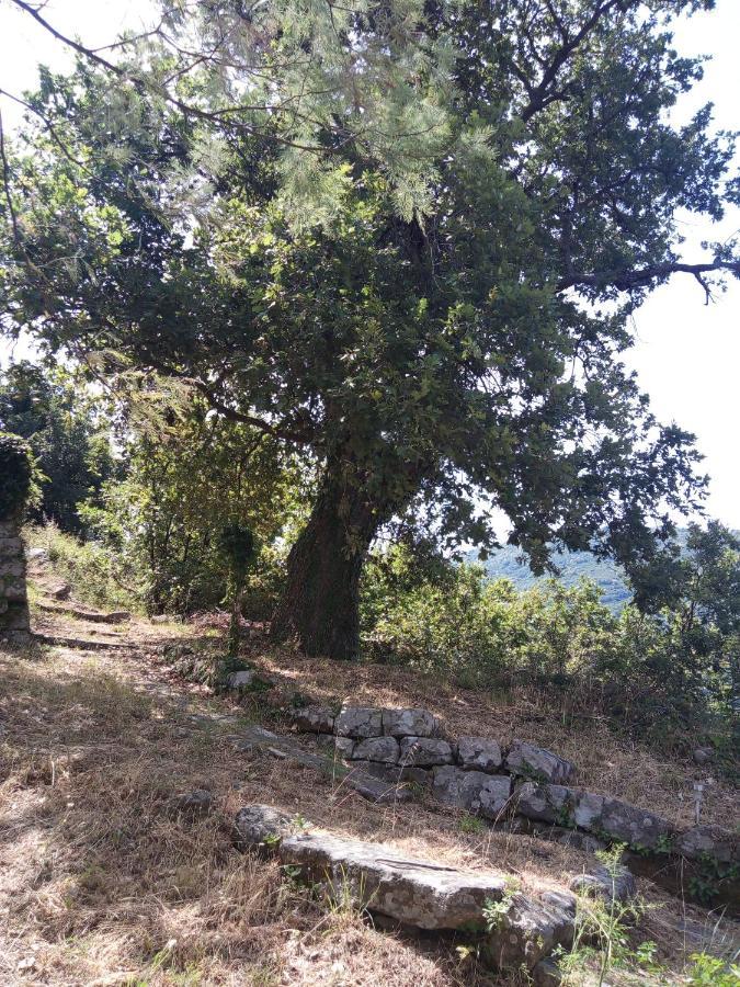 L'Antica Quercia B&B Castell'Umberto 외부 사진