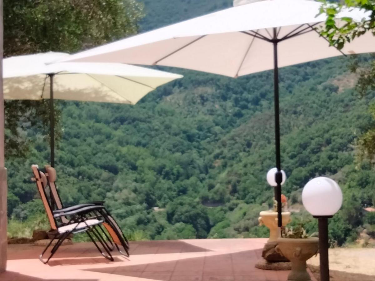 L'Antica Quercia B&B Castell'Umberto 외부 사진