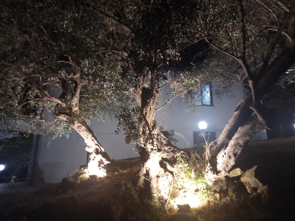 L'Antica Quercia B&B Castell'Umberto 외부 사진