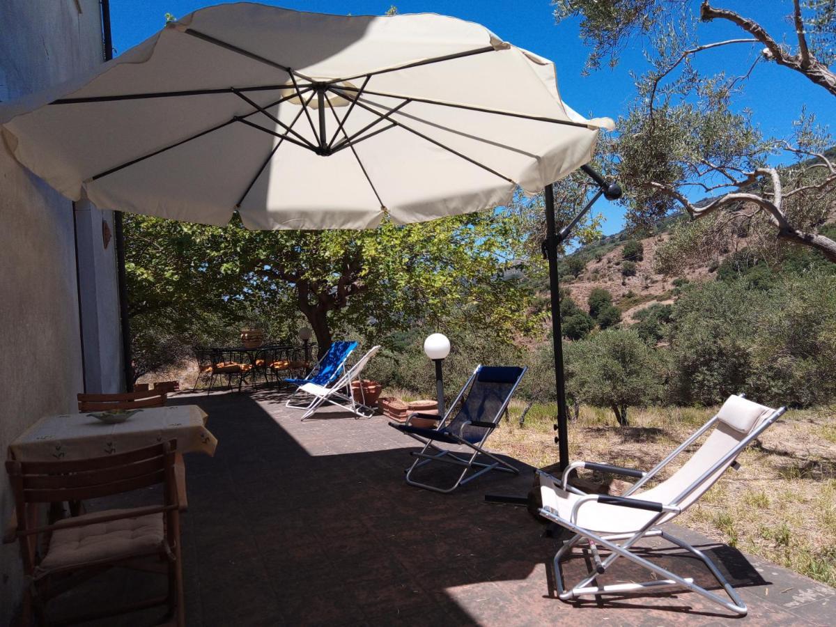L'Antica Quercia B&B Castell'Umberto 외부 사진