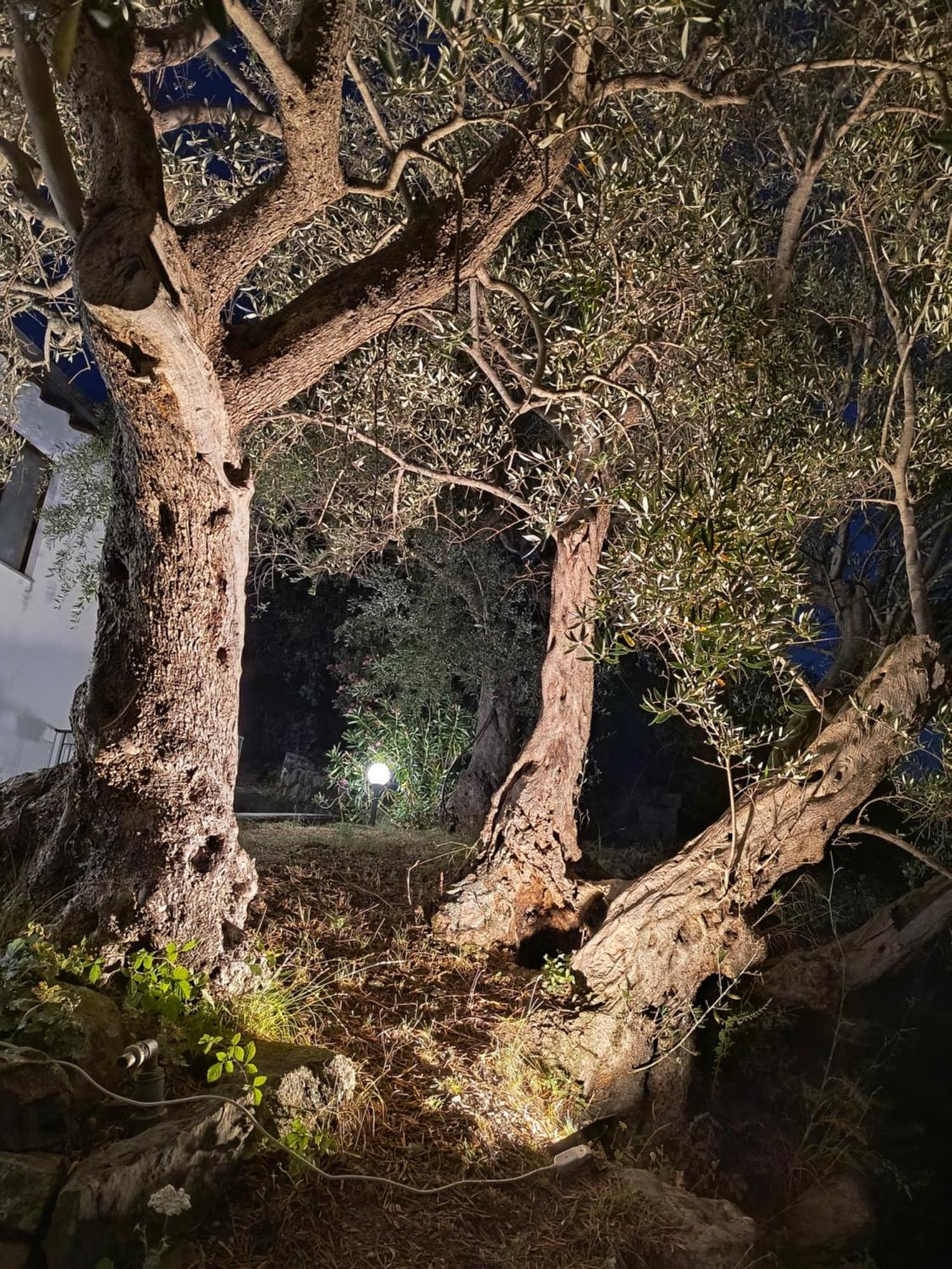 L'Antica Quercia B&B Castell'Umberto 외부 사진