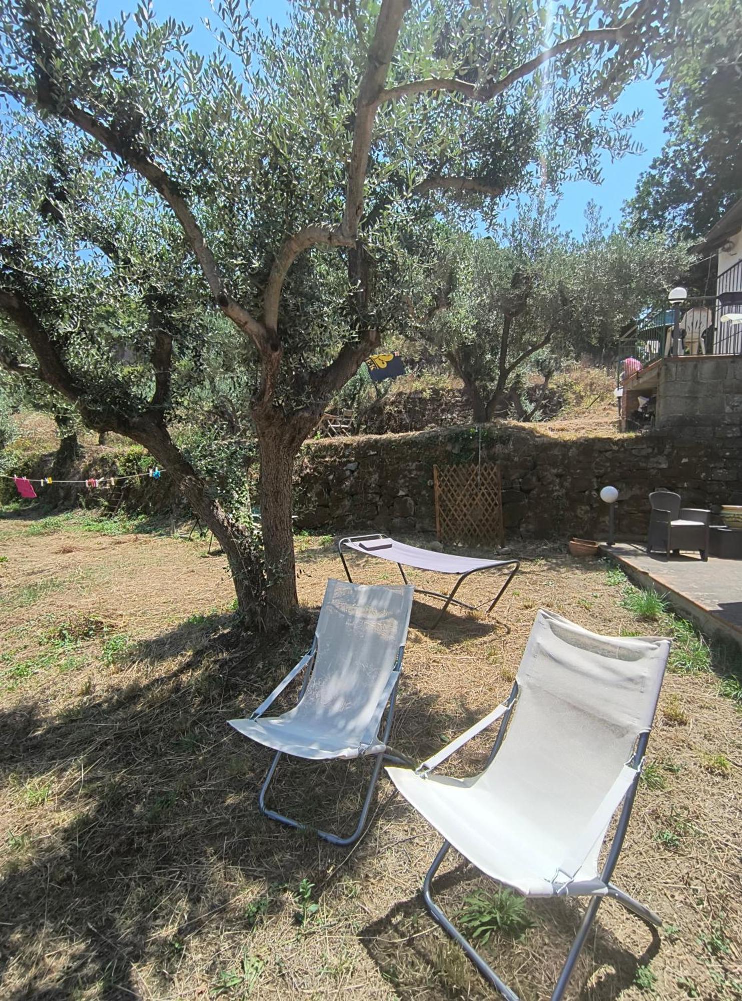 L'Antica Quercia B&B Castell'Umberto 외부 사진