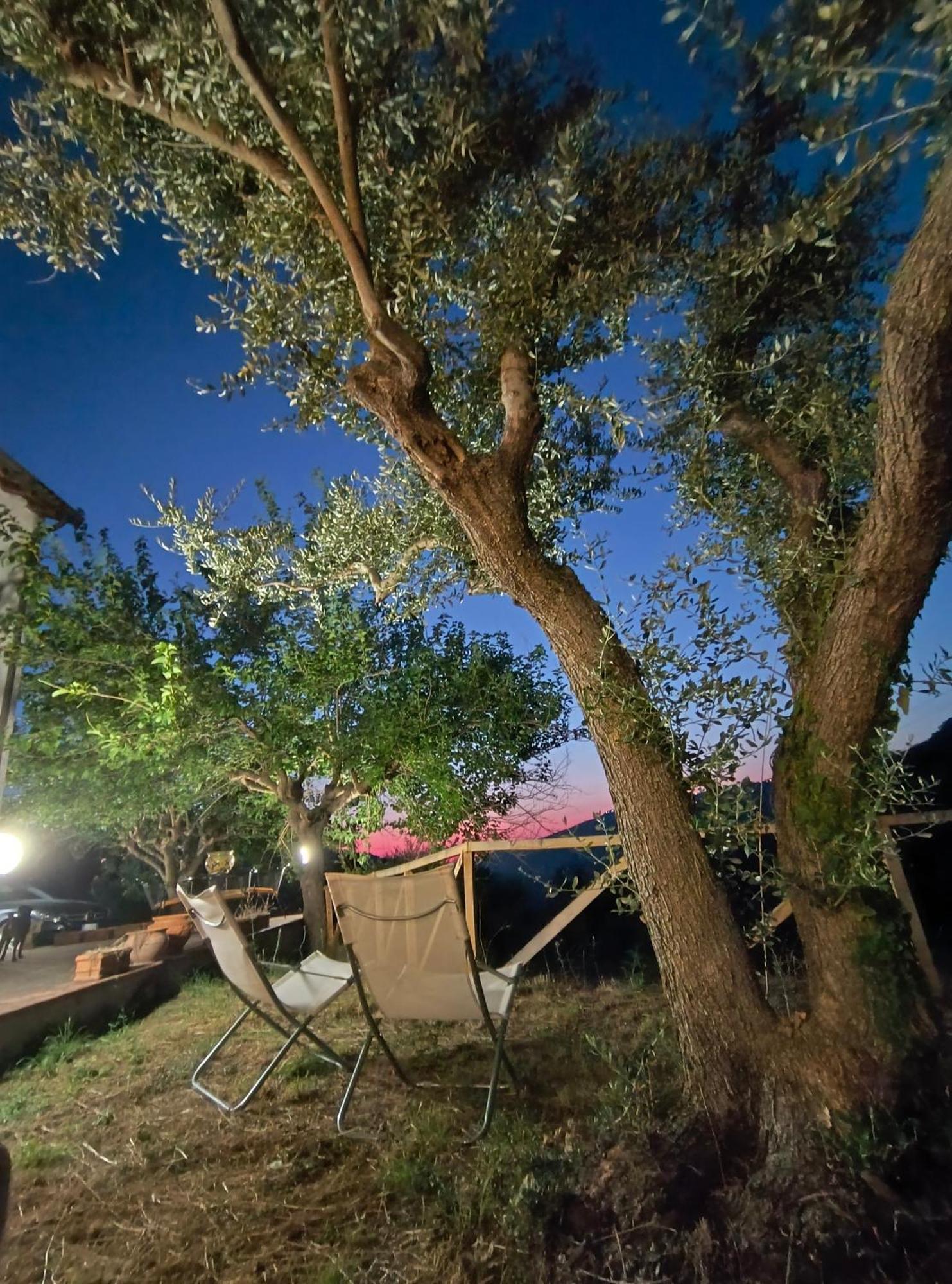 L'Antica Quercia B&B Castell'Umberto 외부 사진
