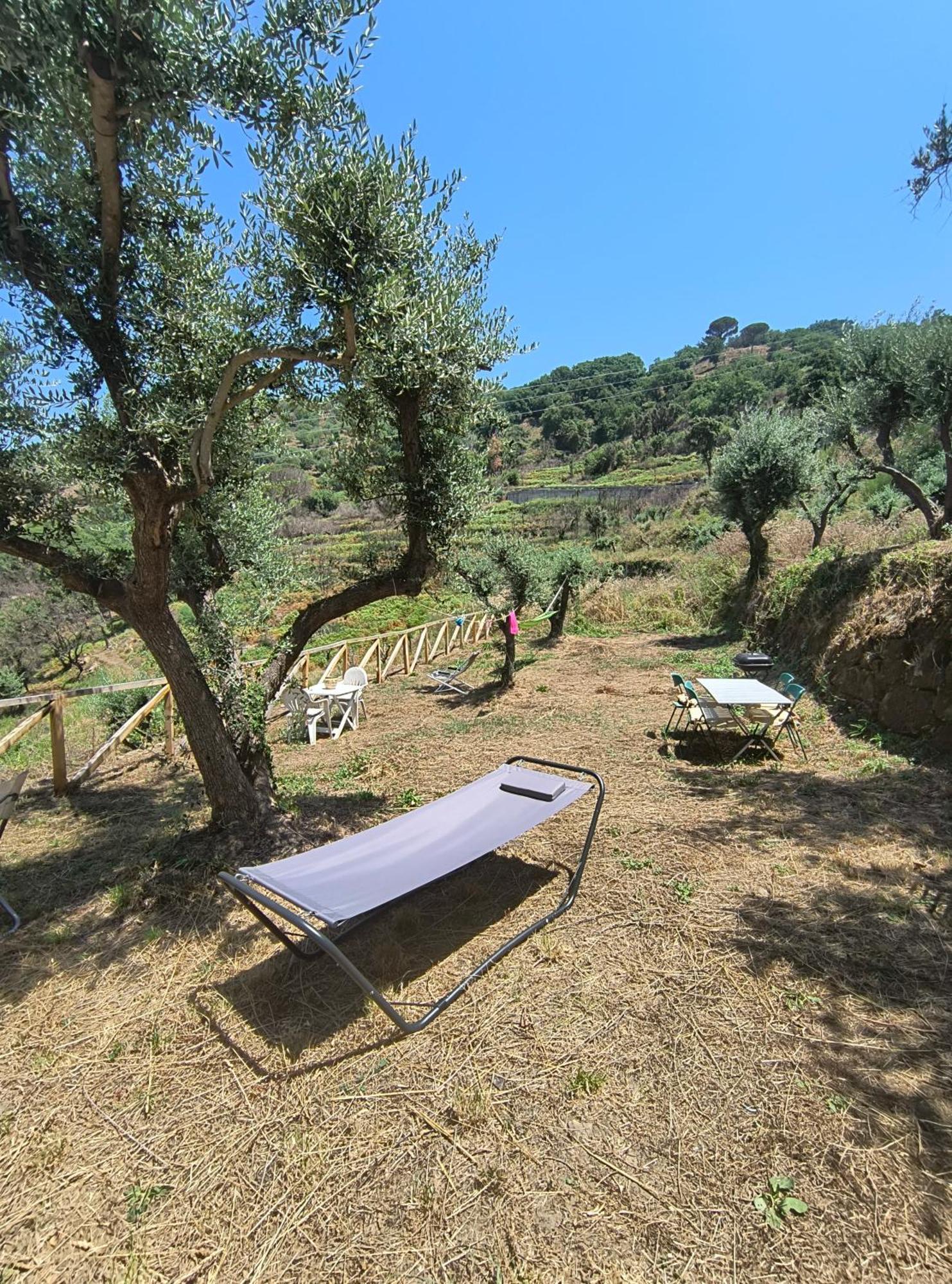 L'Antica Quercia B&B Castell'Umberto 외부 사진