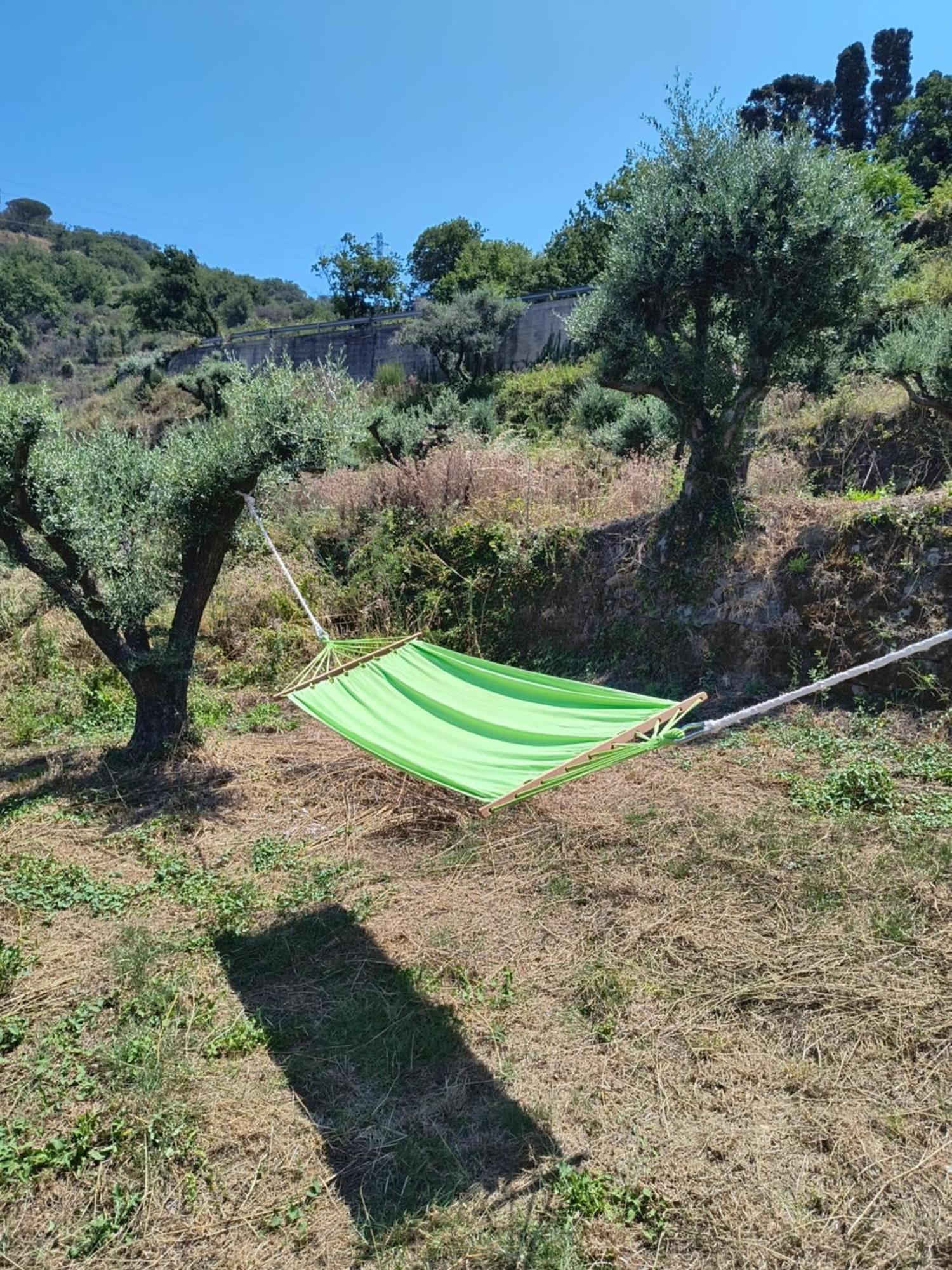 L'Antica Quercia B&B Castell'Umberto 외부 사진
