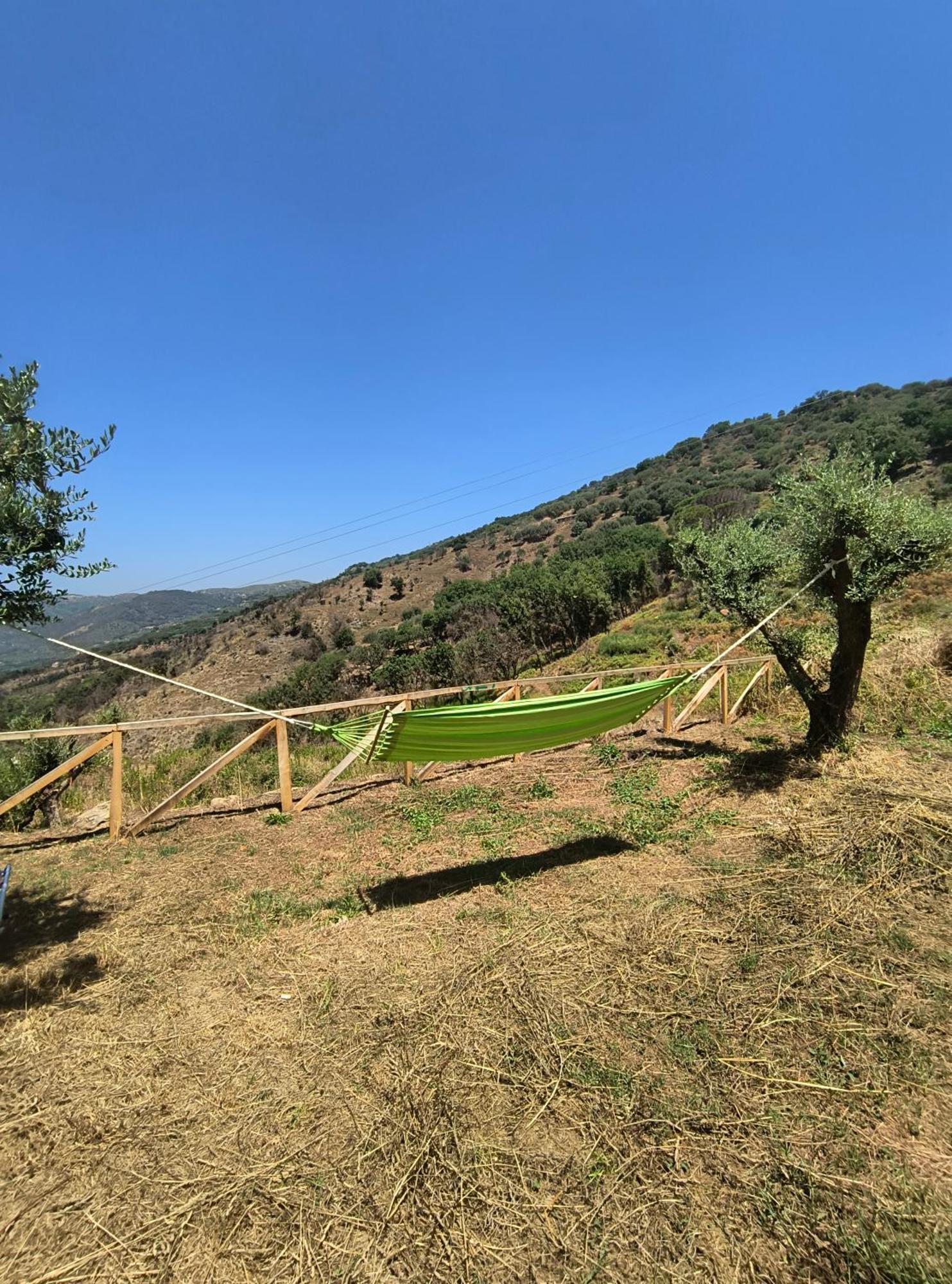 L'Antica Quercia B&B Castell'Umberto 외부 사진