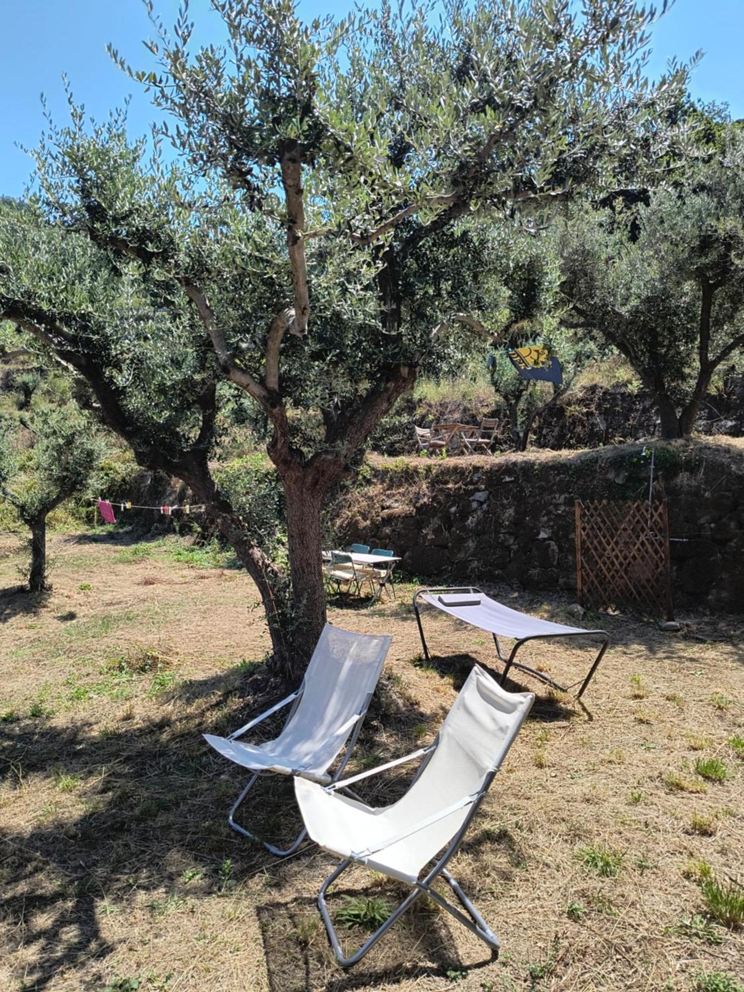 L'Antica Quercia B&B Castell'Umberto 외부 사진