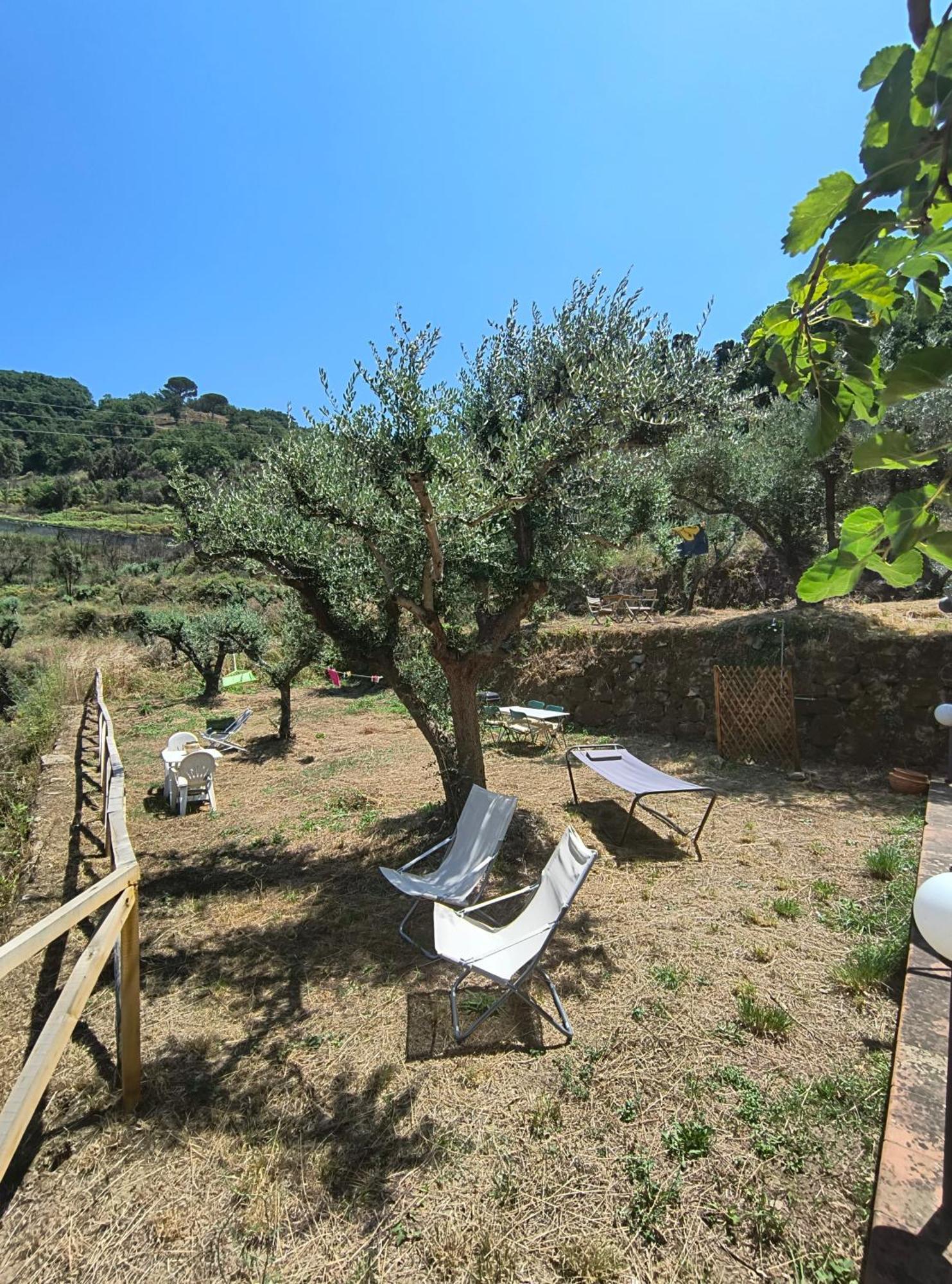 L'Antica Quercia B&B Castell'Umberto 외부 사진